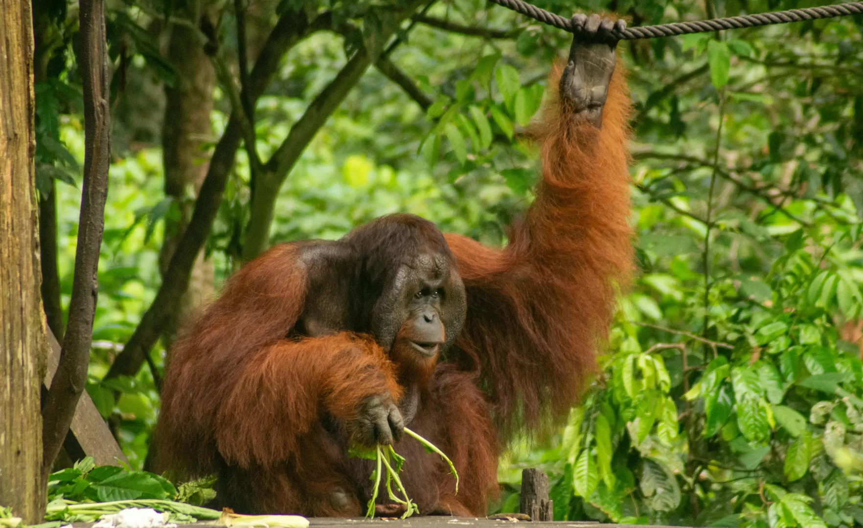Top 5 Lesser-Known Wildlife Destinations for Photographers - Wildlife Photography by Sreejith Captures