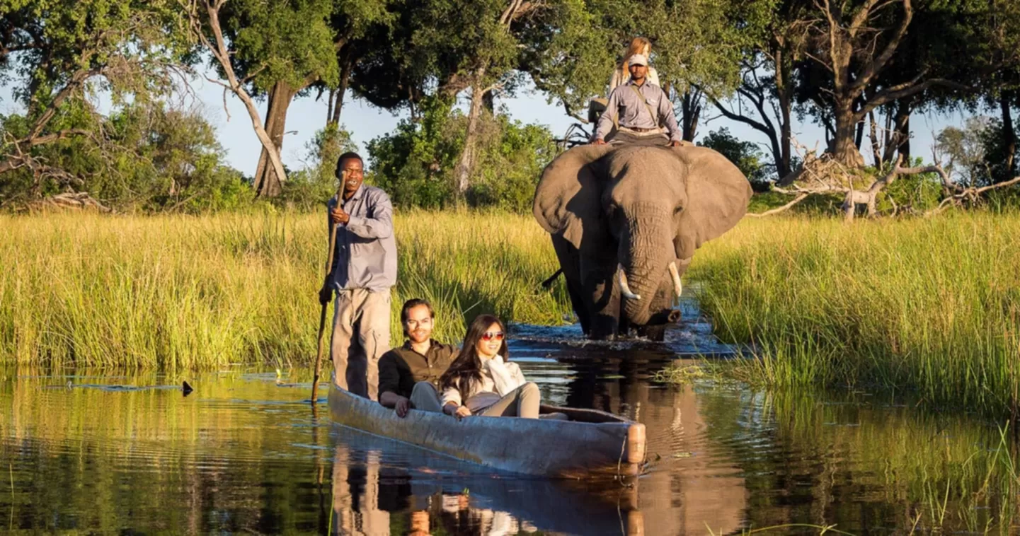 Chobe River & Okavango Delta Wildlife Photography Expedition